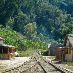 Madagascar: Tren de la selva