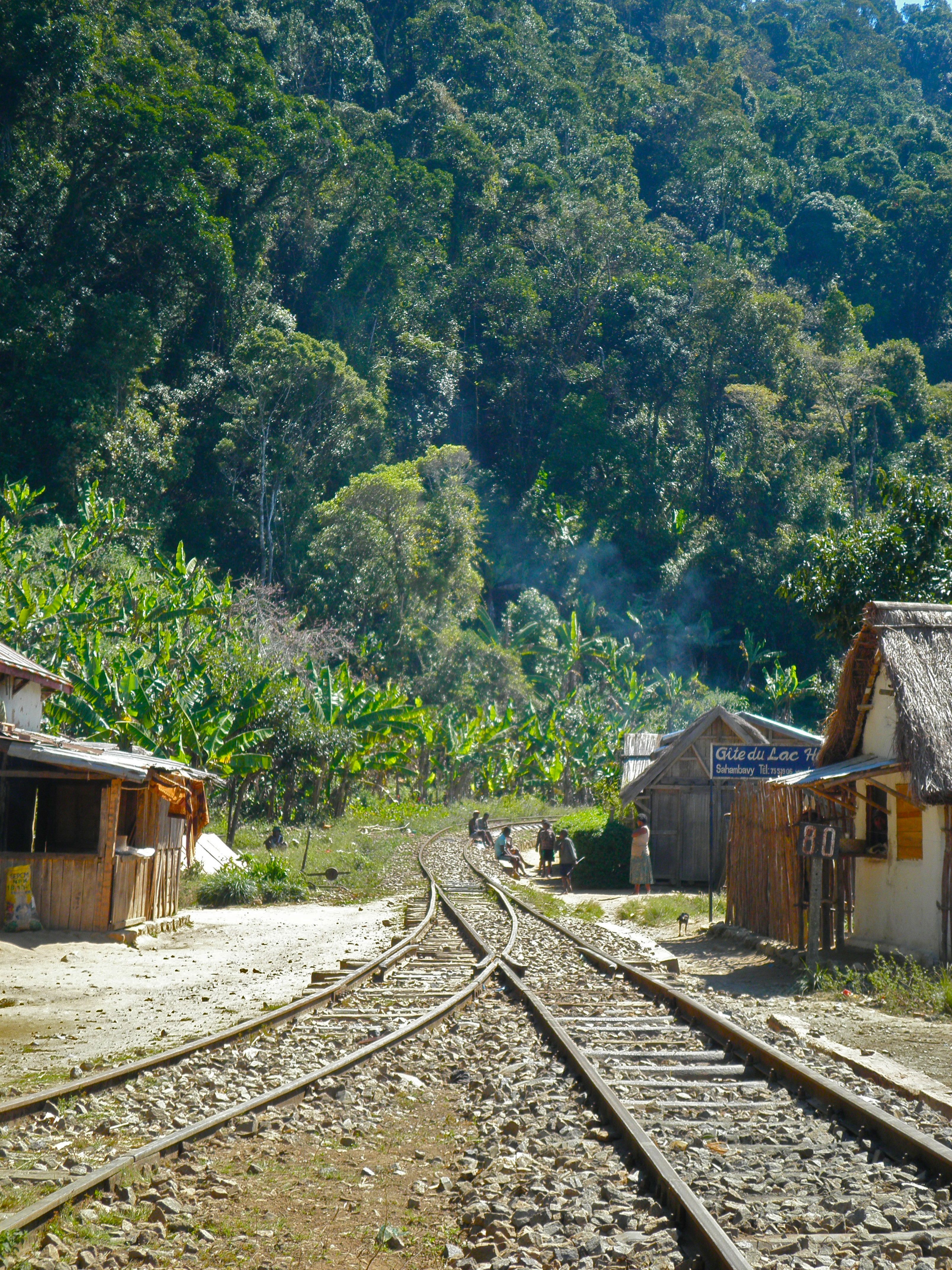 Madagascar: Tren de la selva