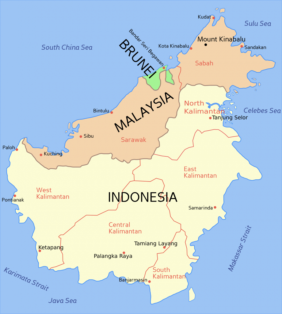 borneo-para-so-de-naturaleza-y-vida-salvaje-un-mundo-interminable